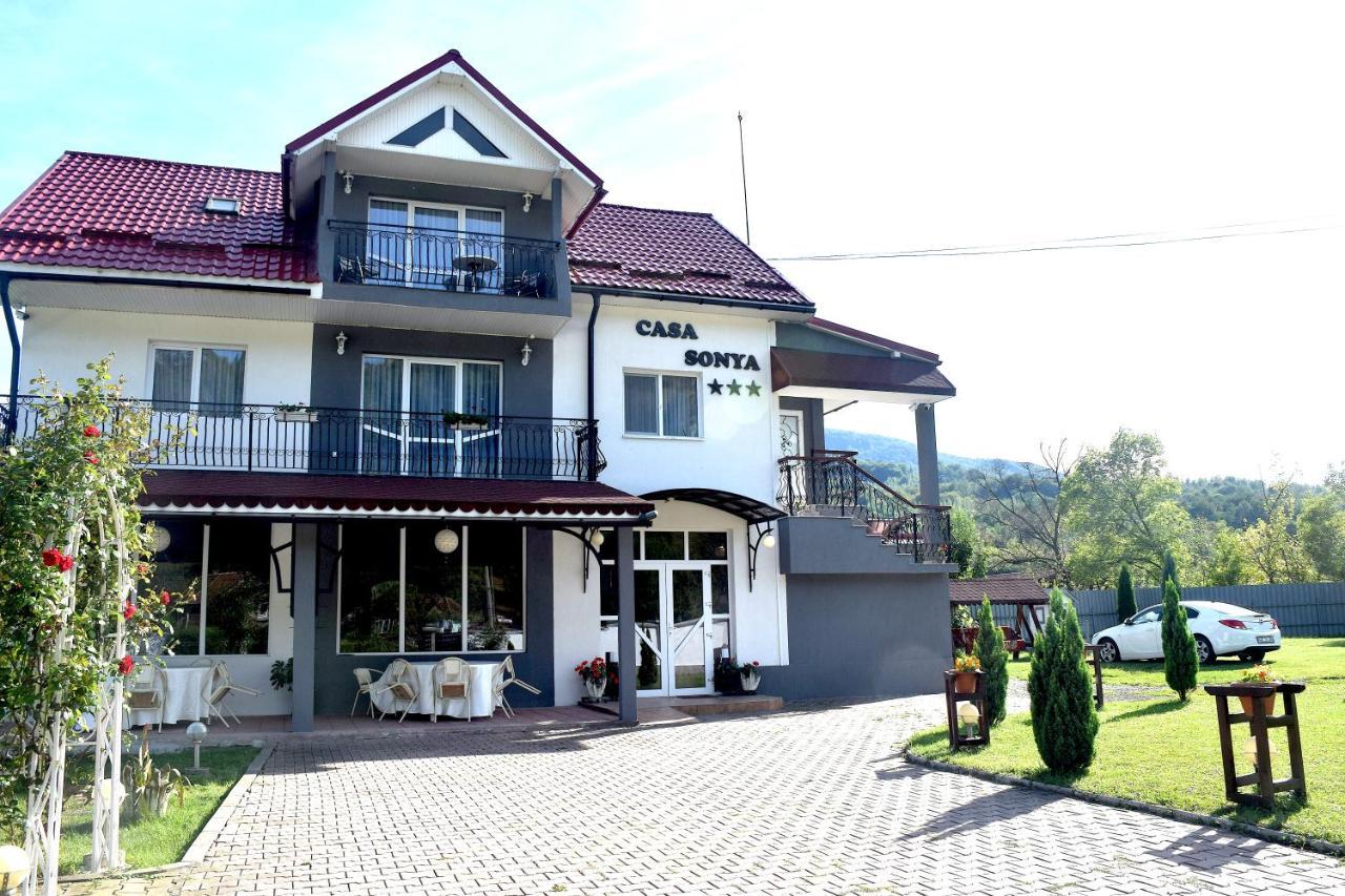 Casa Sonya Apartment Aninoasa Exterior photo