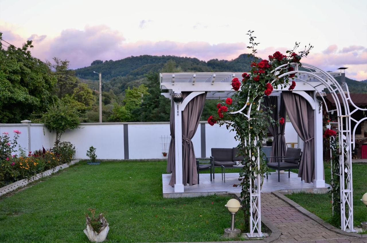 Casa Sonya Apartment Aninoasa Exterior photo