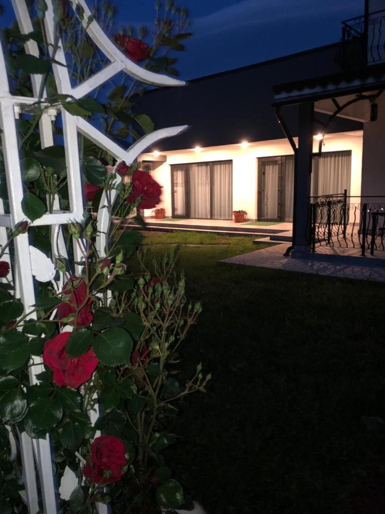 Casa Sonya Apartment Aninoasa Exterior photo